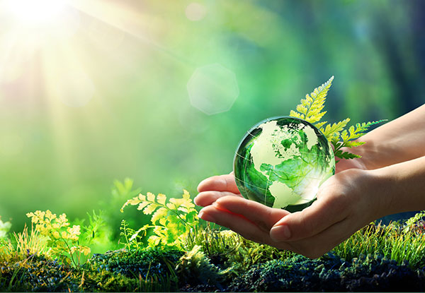 Eco Friendly Drapery Cleaning: No Water, No Toxins, Zero Residue